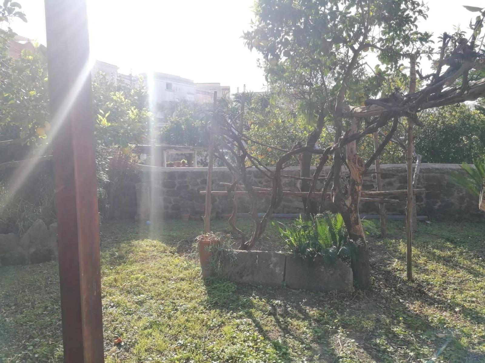 Dimora Coloniale B&B Forio di Ischia エクステリア 写真